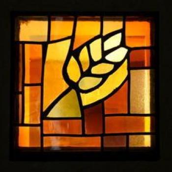 Vitrail épi de blè Vitrail épi de blè