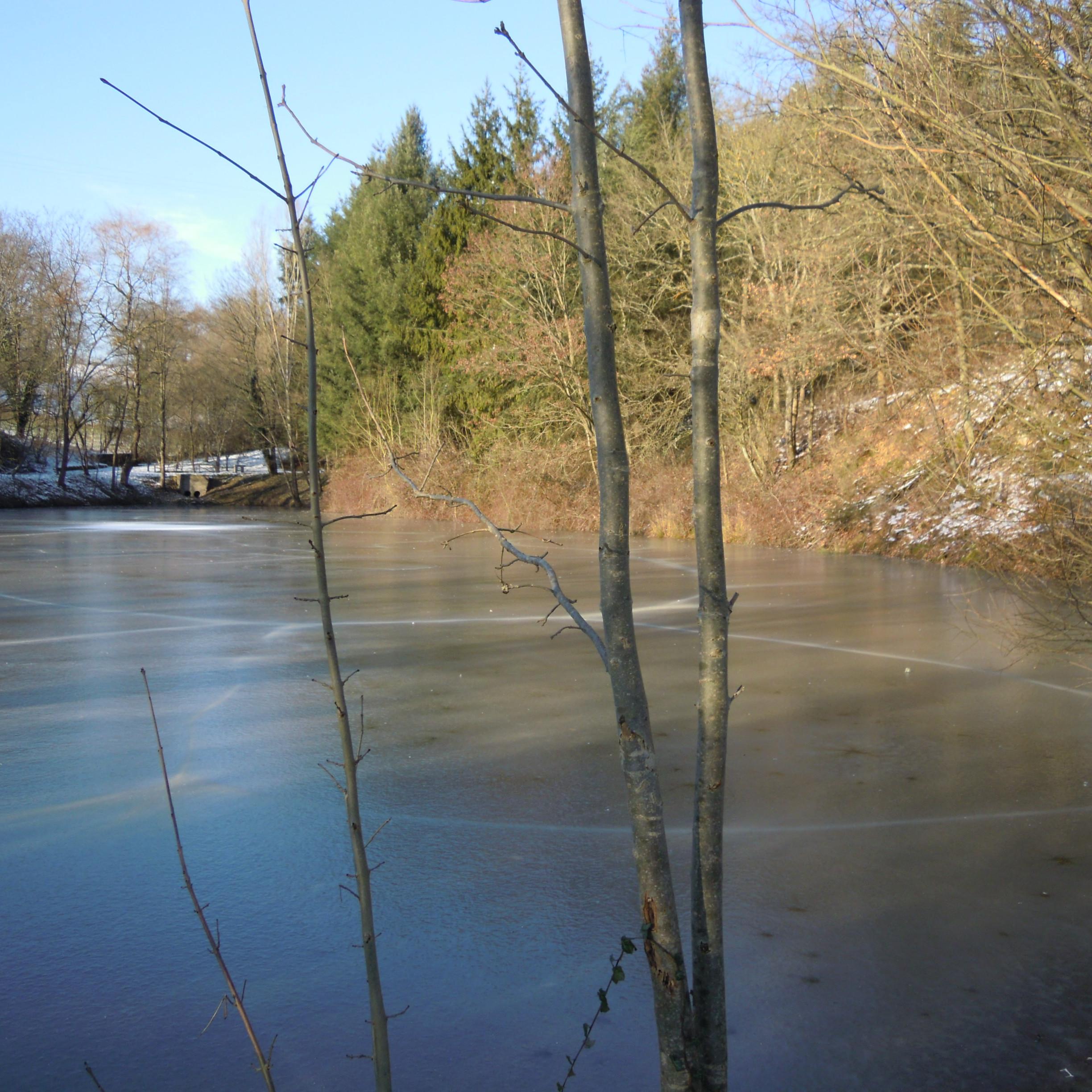 Etang gelé Pradines